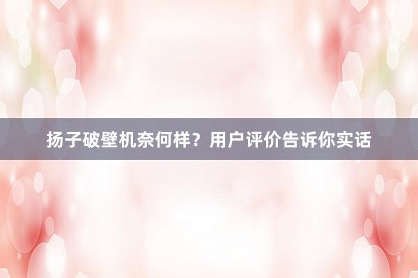 扬子破壁机奈何样？用户评价告诉你实话